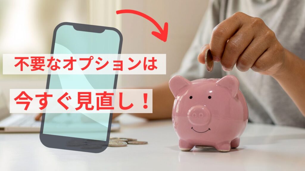 不要オプションについての画像